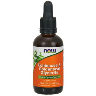 NOW Foods - Echinacea & Goldenseal Glycerite - 60 ml.